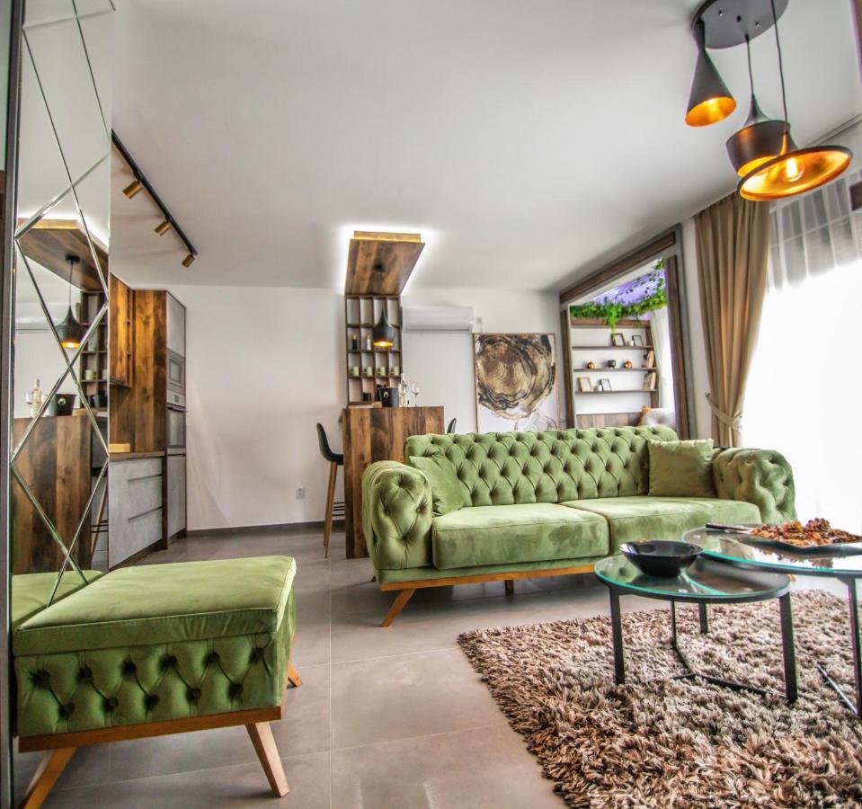 Royal Luxury Apartment Vrsac Bagian luar foto