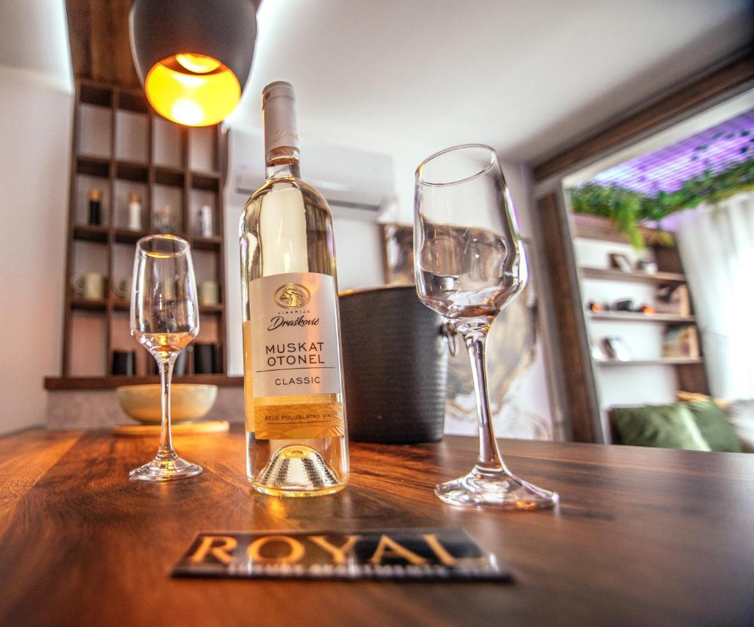 Royal Luxury Apartment Vrsac Bagian luar foto