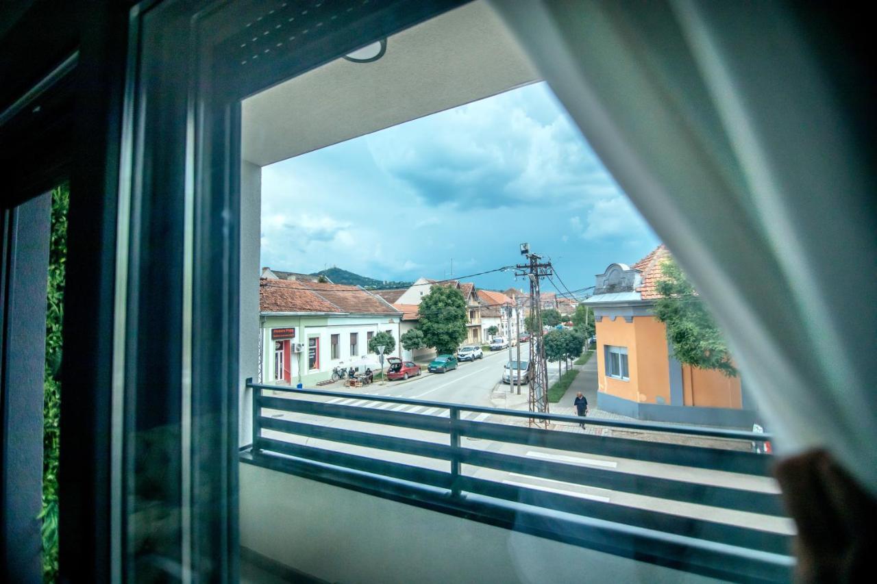 Royal Luxury Apartment Vrsac Bagian luar foto