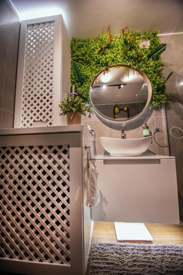 Royal Luxury Apartment Vrsac Bagian luar foto